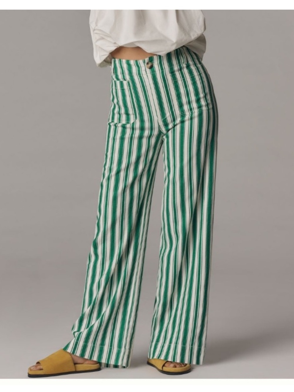 Maeve Colette Wide Leg Full Length Stripe Pants in Green & White 26